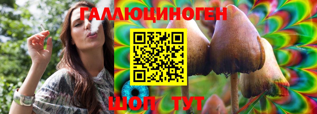 Галлюциногенные грибы MAGIC MUSHROOMS  Вход с VPN  Кингисепп 